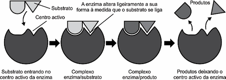 0_70e6662e7d178c56259fda7b062948c2_15182779.jpg.png