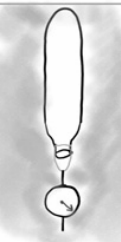 0_7175274d8a3cf7be316f676b0de965de_16239677.jpg.png