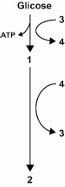 0_73b24da0553a112f94ef452aa6ed8903_14708364.jpg.png