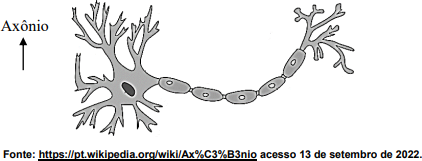 0_73b97f8e28d143a762216bd2a480a622_14771029.jpg.png