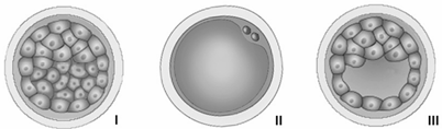 0_744148fea8bb688e18aac0063c962446_14860891.jpg.png