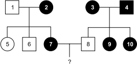 0_751a166bbe8241f97f94f127b05ba7a3_14780138.jpg.png