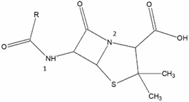 0_77f0a8ee23807f2493f957bcbe73109e_15146833.jpg.png