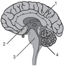 0_79d965e3e6f91089e06796716eef5ffc_16142420.jpg.png
