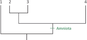 0_7b904928698e92bbd5d6e30ca8f08751_16214592.jpg.png