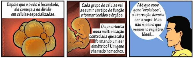 0_7cdc8785a69bd2daaafa64c76e665d69_15395358.jpg.png