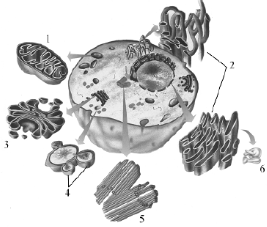 0_7ddc5c9569ad07b708c18c7fd9682692_11761719.jpg.png