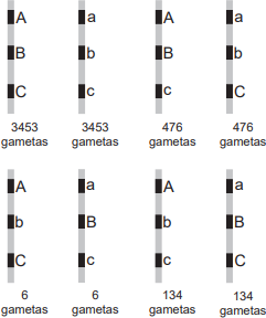 0_7def441663066bcbd9169d270fb1340b_14366125.jpg.png