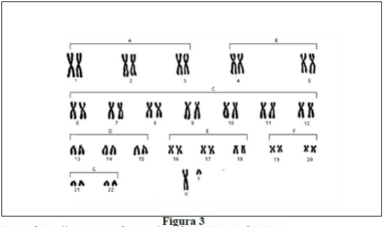 0_7e64aaa7f823e13c182340817f051c28_182514.jpg.png