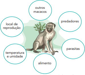 0_81bcc30a60747cf5fce14f44caee4c53_16104540.jpg.png