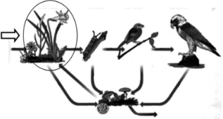 0_8224f0ab5c0eaf524e65e2831ca352be_10567481.jpg.png