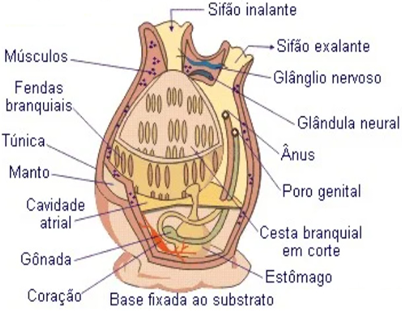 0_86e965b9cd2f290abc1db877053c6f89_15052860.jpg.png