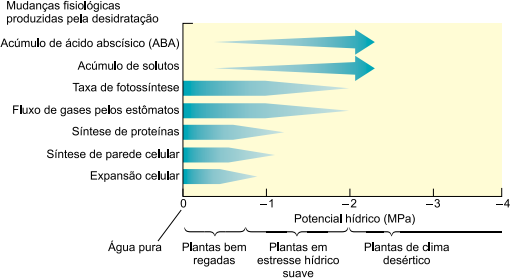 0_888b632e626caa3b425778c85798bea1_15444096.jpg.png