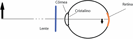 0_8af2953ae1df4e7c01f511ff88429c1f_14510333.jpg.png