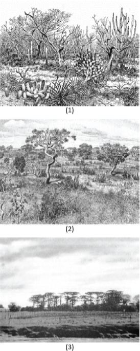 0_8c5d34af20687c3c6ddcadb1fb5863b5_16402334.jpg.png