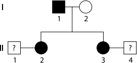 0_930e9a8ec66cc4f77fc692352535c19d_15918578.jpg.png