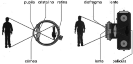 0_955beb72dab579f75f64688bb1deb982_10532391.jpg.png