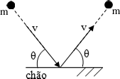 0_98f4bb3dd70a604a0cc884b48aa748e5_14468769.jpg.png