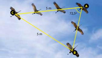 0_99ae99e75b3aac83a887e3e0120487e3_15978536.jpg.png