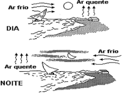 0_9a3bf373d9b81fa21a876a7e1d4da19f_11701007.jpg.png