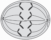 0_9bde6ef122197786204ad781c72a5b80_15227707.jpg.png