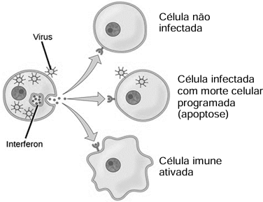0_9cdd5f4b72b0cfff30949cc7b4dcb769_14976832.jpg.png