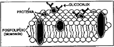 0_9eb0a5e6e73aac08c8f4b70273d71691_11761466.jpg.png