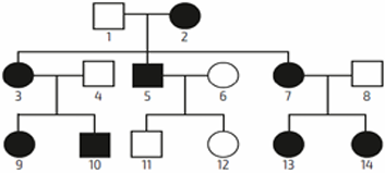 0_a482198932645cb5575b1c78c9a83406_15042834.jpg.png