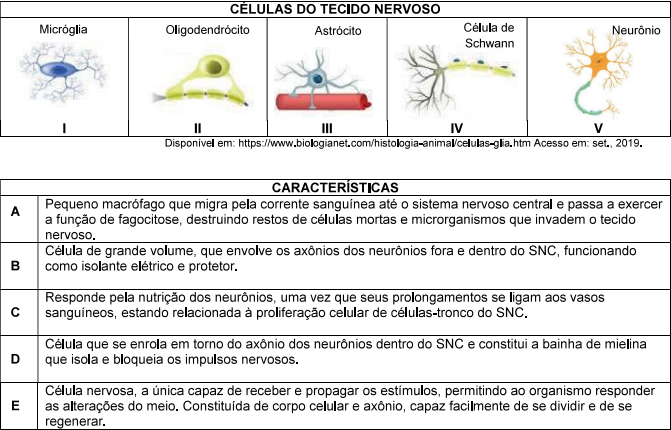 0_a591a40ba587a0463624376a40a75435_14730644.jpg.png