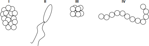 0_aba673e1307060c73368b1cddd9a8297_156873.jpg.png