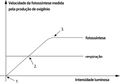 0_ad0d506c3bd5578c6b5ae0b979eb8448_8939169.jpg.png