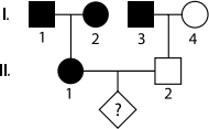 0_ad14bbcd6d071c7ce2104e3709fe17f9_15958011.jpg.png