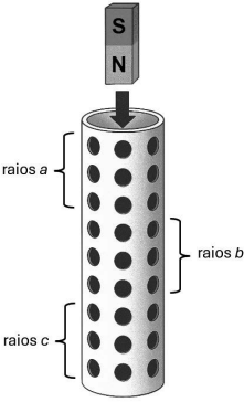 0_afef567954be8e605479e24aa75e4113_15365896.jpg.png