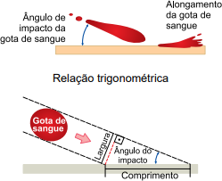 0_b1ce2f85c4845ca81fa8f7489dc58b80_16362898.jpg.png