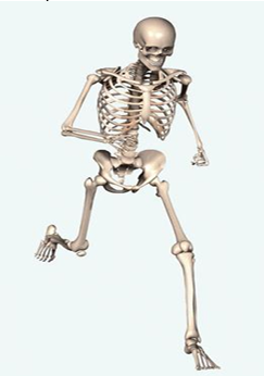 0_b7aecaee92012e8d8932fa445111beb4_14936666.jpg.png
