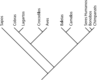 0_b8c0e9cefa4a6e672895e4dc502adbd3_15943396.jpg.png