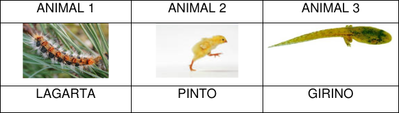 0_b9270af4e6b81d1634072d75e684f16c_11691677.jpg.png