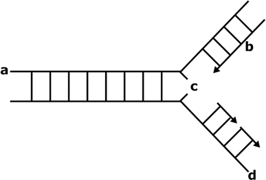 0_b9e7dd0a68201e790bef59d086e1f7c5_14406157.jpg.png