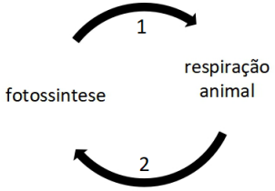 0_ba8bd5d90e01c996ebc4d0f117a24efa_8417027.jpg.png