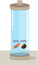 0_bda08f5fd31892630ff175aa8dfd0019_11769994.jpg.png