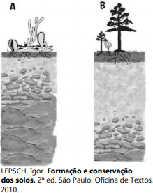 0_be25d642b02f043620743e8812669268_3210838.jpg.png