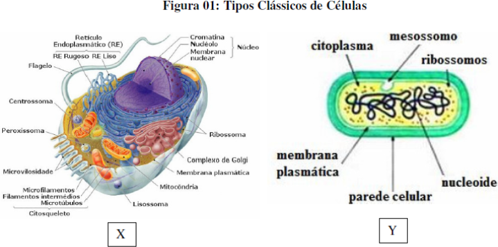 0_be78dfbddec8e4c965f6bda972a18cd6_483511.jpg.png