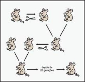 CESUPA 2017 A coluna 1 apresenta uma lista de estruturas | Estuda.com ENEM