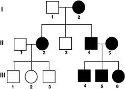 0_c1513e652a8b2ce6bb3f6911cc1082cc_15510679.jpg.png