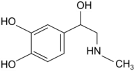 0_c1da5654ef5585609a29ed668f29bf51_15856812.jpg.png