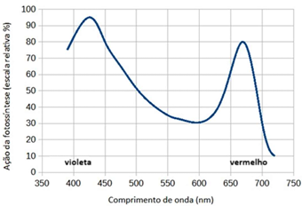 0_c24bf5cd32fe1d722b0d01beee2afdca_14794570.jpg.png