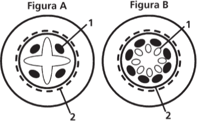 0_c3be78d43321f0b4b7aca9e799614ac6_16390286.jpg.png