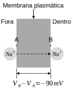 0_c69eff4890b8a47e8ce1bd375475b5c7_14624230.jpg.png