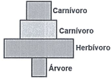 0_c89287f264f3f97c96e87e0c3e60cb04_14710003.jpg.png