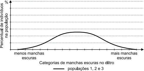0_ca225eaeb65384a10453db2542fc5f05_16362490.jpg.png